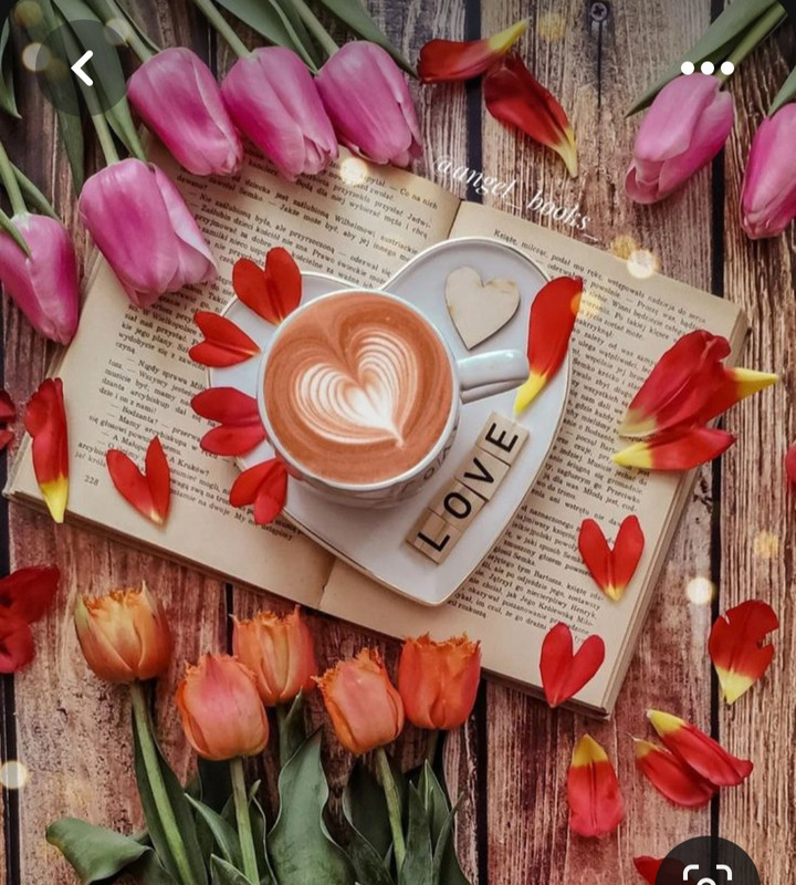 Screenshot_20230517_002945_Pinterest