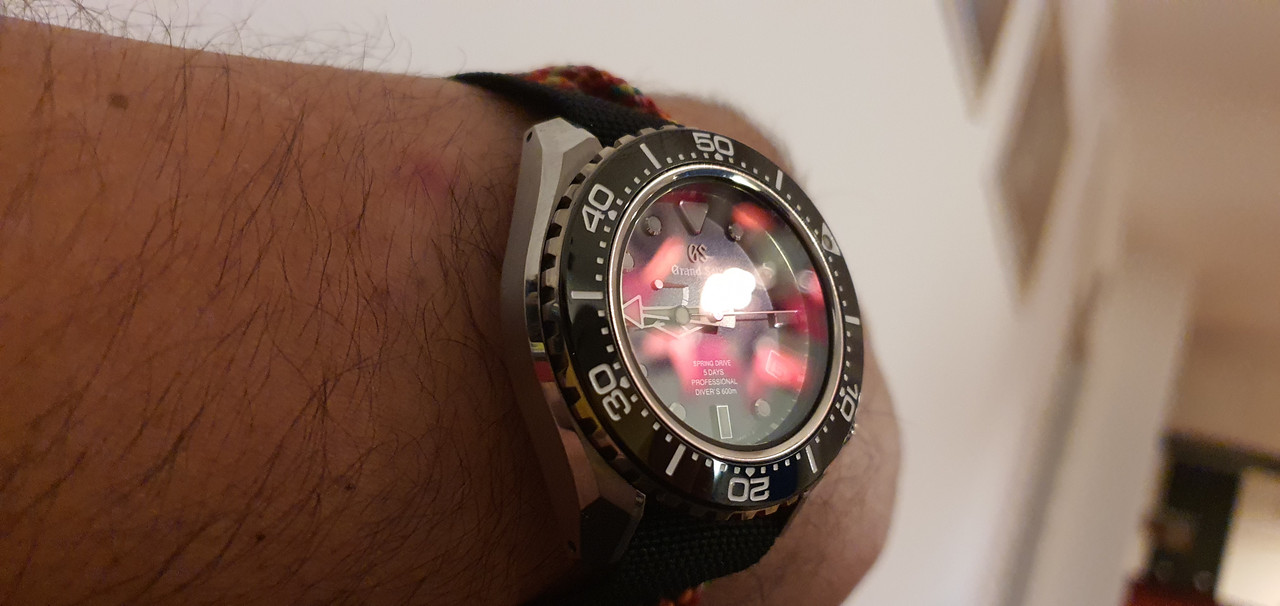 16500446342521204370818009150768