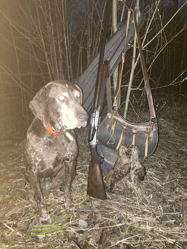 14B8278B-1484-4F43-B8E2-DD9DC2294500