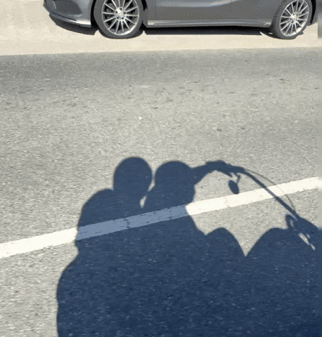 giphy.gif