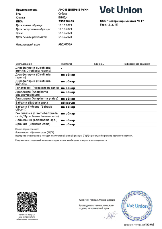 355238459_258633424_0_АНО_В_ДОБРЫЕ_РУКИ