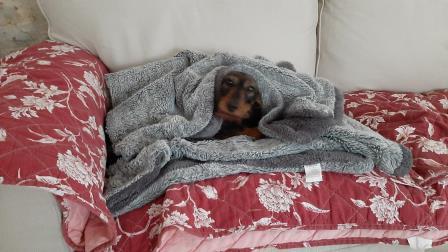 [Image: 05-2021-2-web.jpg]