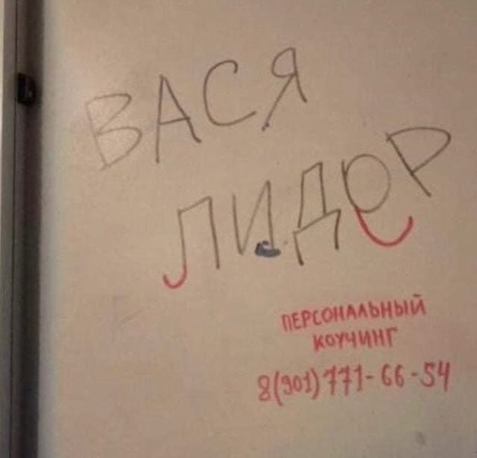 IMG_20231003_193059_240