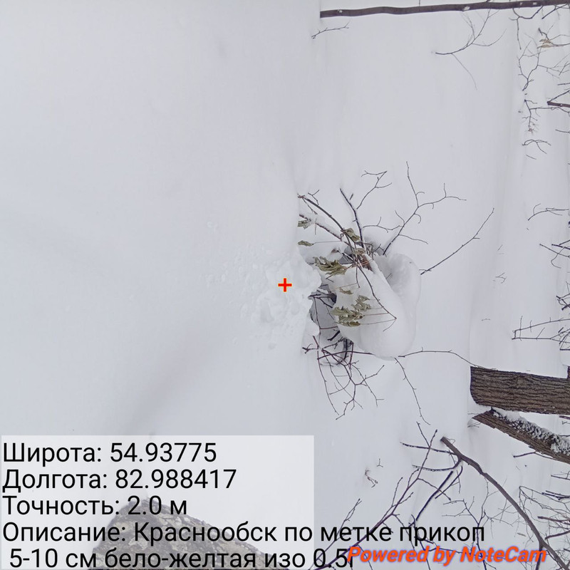 photo 2026 03 10 09 36 05 (3)