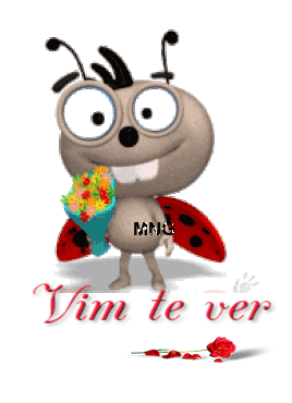 vtv.gif