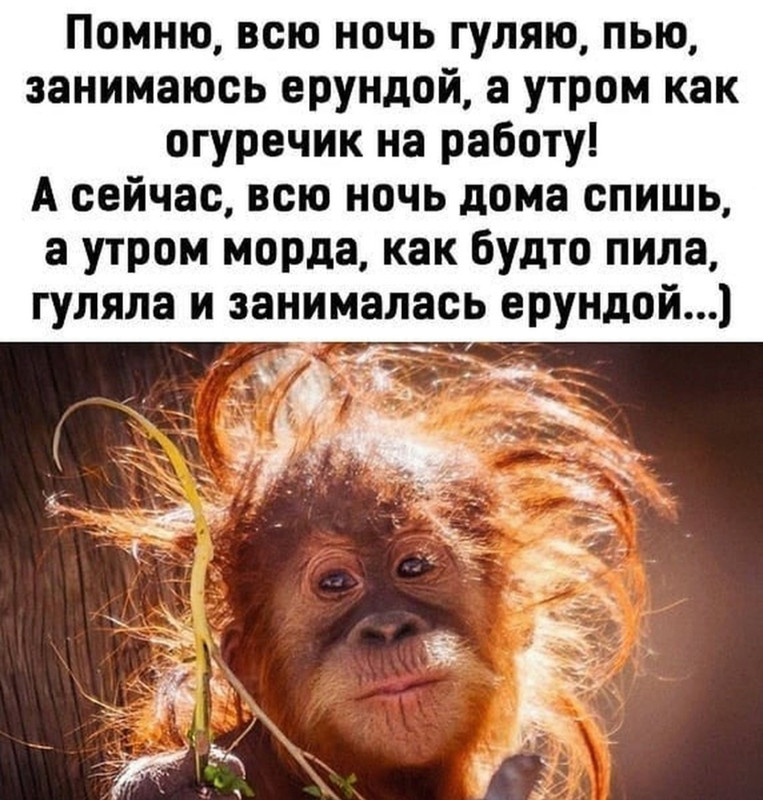 Screenshot-20210523-134540-com-instagram-android-edit-627895060544814.jpg