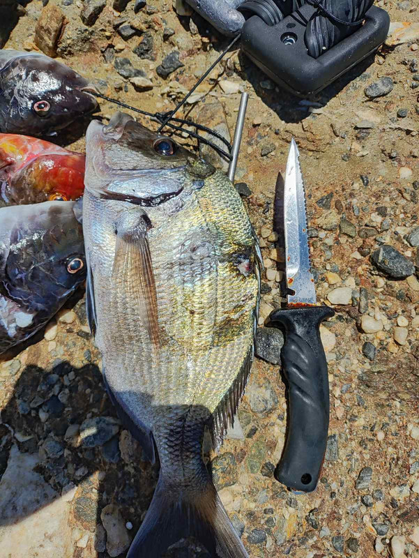 viber_image_2024-07-16_16-55-01-157