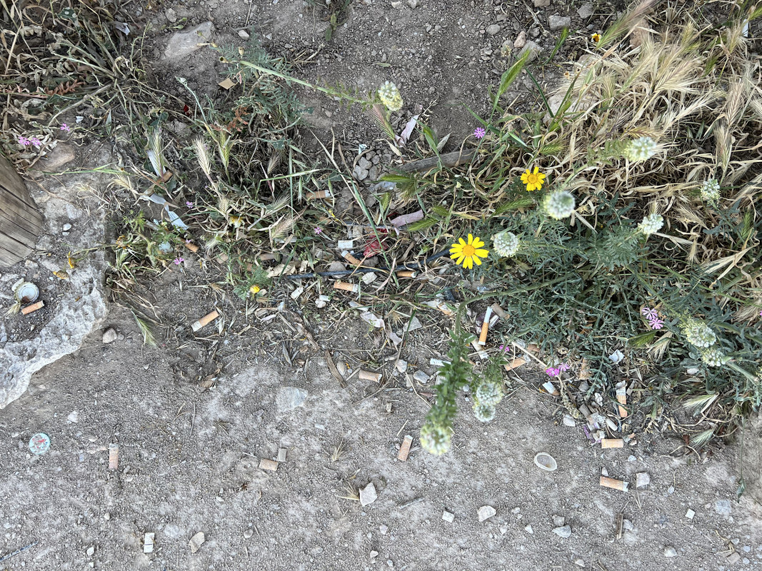 DF555BBA-3867-4273-A01B-9F93A1B69EAE