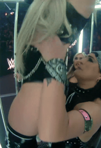 wg24d.gif