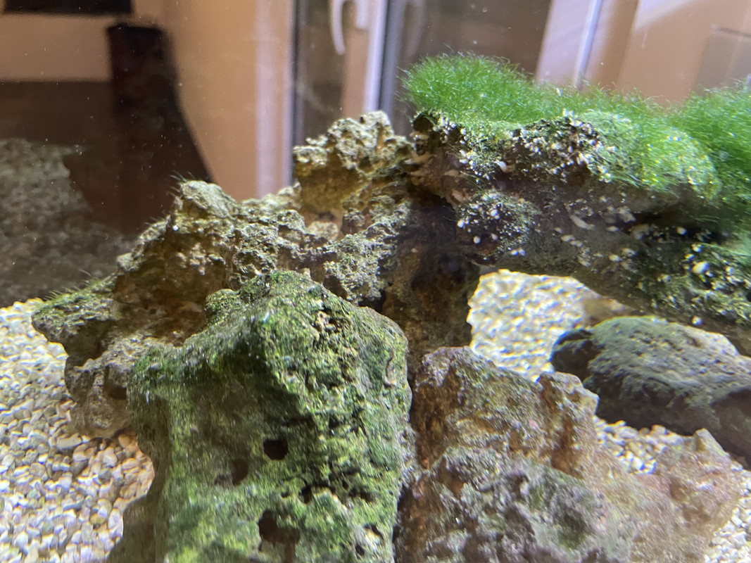 A9279E5E-F496-4A6D-AA65-B75856DDEC72