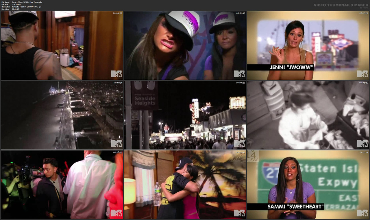 Jersey Shore S05E04 Free Vinny.mkv