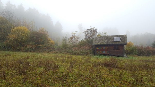 Une cabane isolée avec un panneau solaire sur le toit