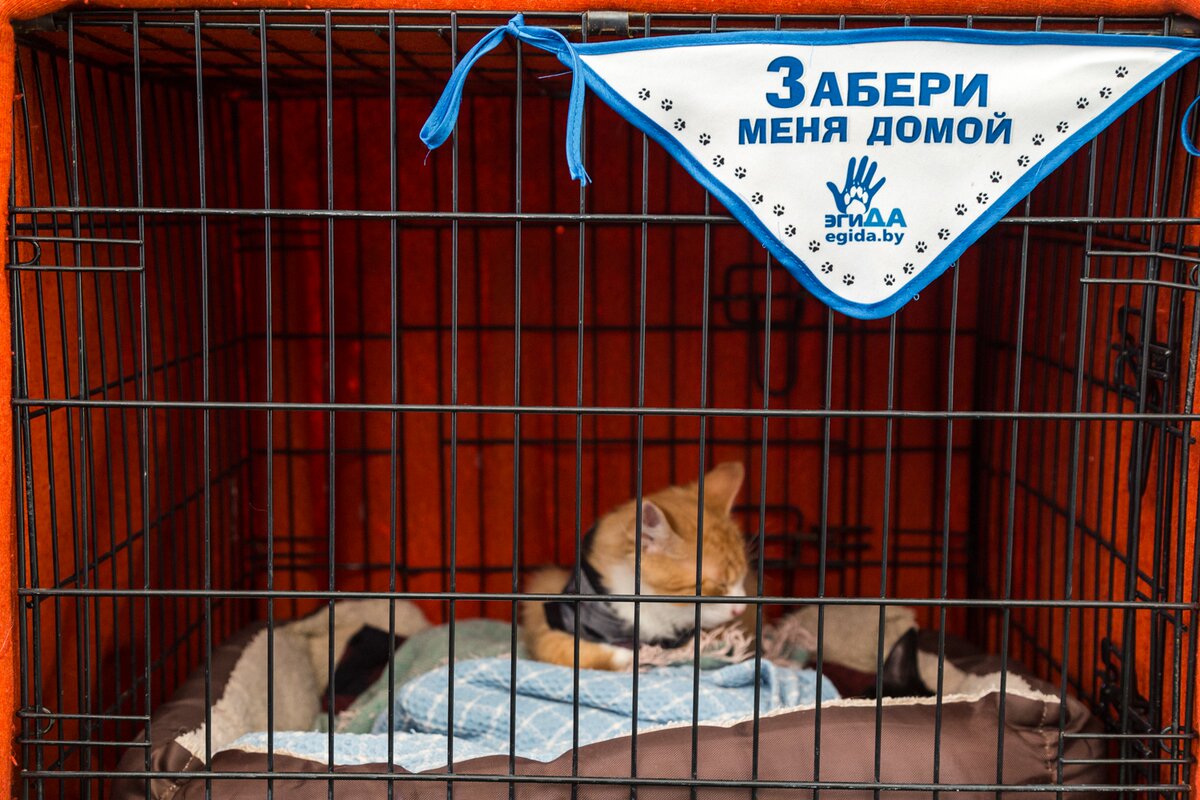 1481592E-C256-4AA9-B6B3-2AA769622826