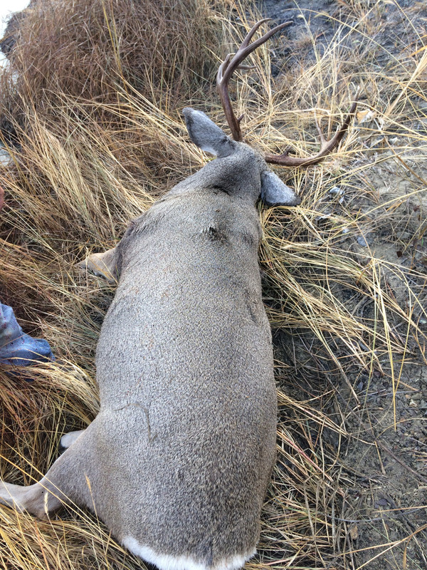 D10F3E8D-B944-47FC-BDD7-A6093D2A6754