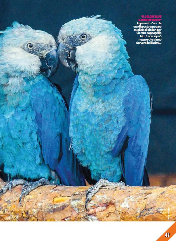 Foc Wil - Giu 2023 (10)