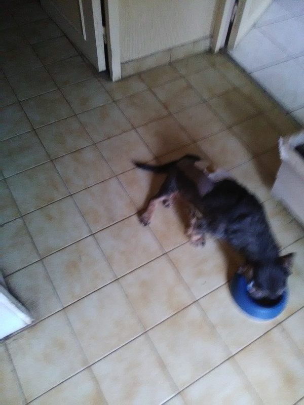 [Image: IMG-20230306-171804.jpg]