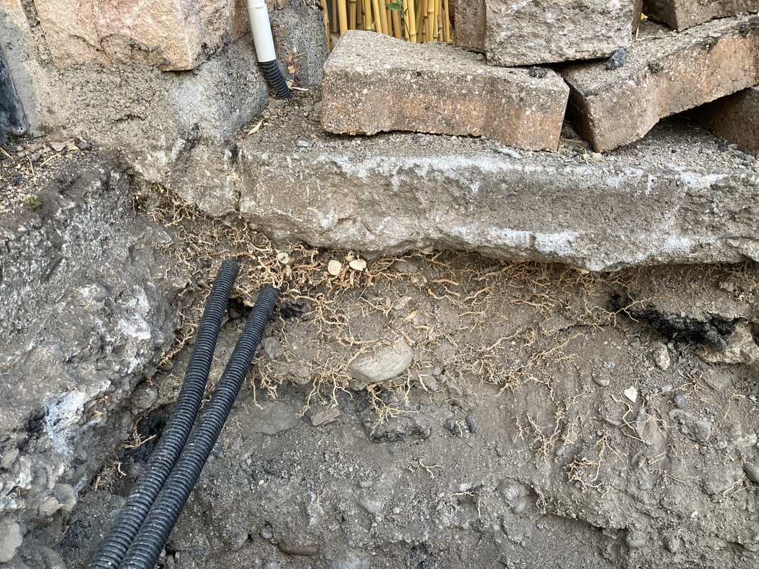 2A93F720-C8BF-475F-B001-EC236AE64D8A