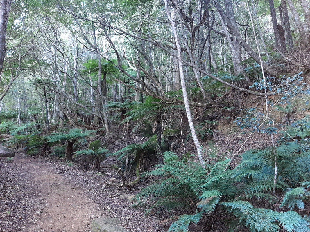 20200709-103721.jpg