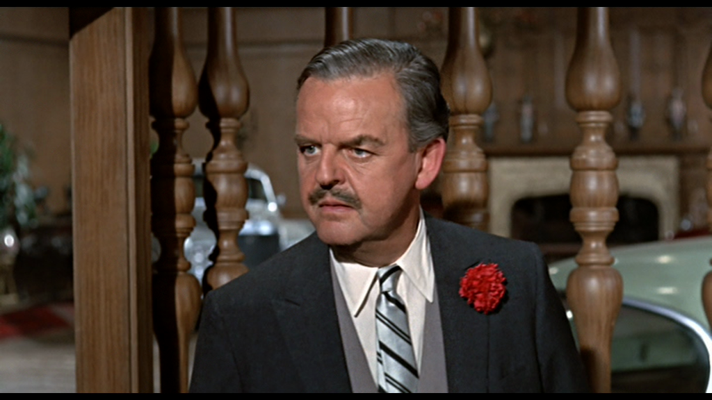 vlcsnap-2019-01-20-16h43m49s352