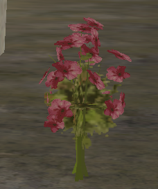 sa-mp-000.png