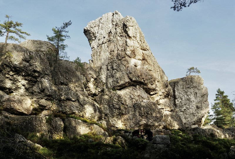 PA290845.jpg