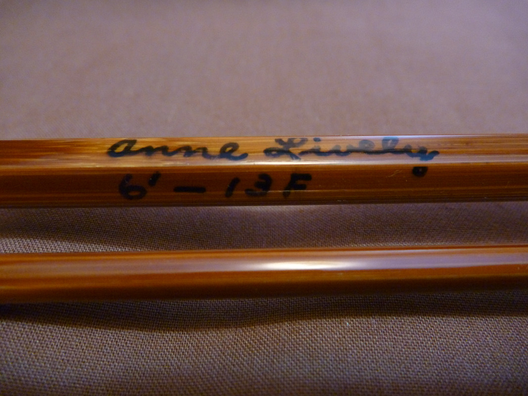 2013-02-02 Anne Lively Rod 5