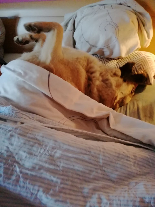 5402118678914382636 121