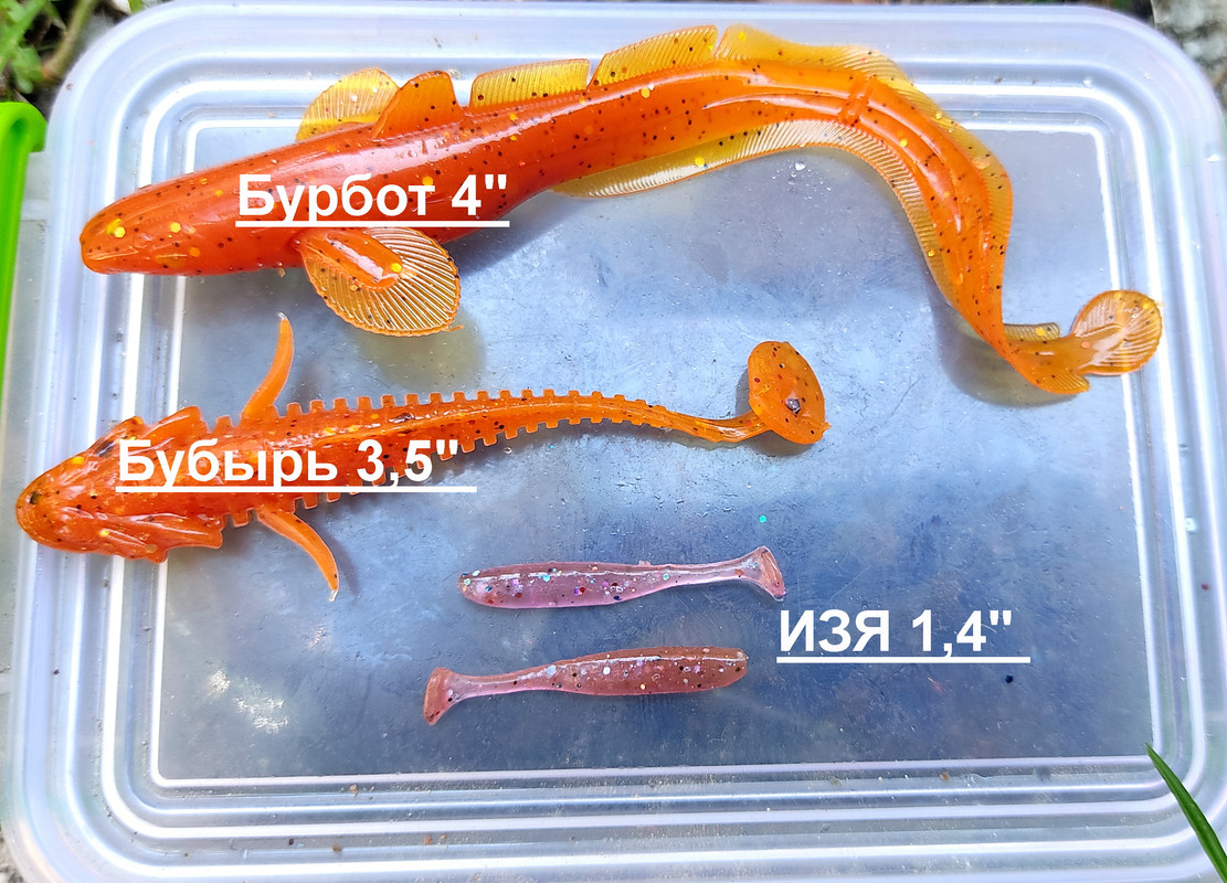 Новинка июля 2022