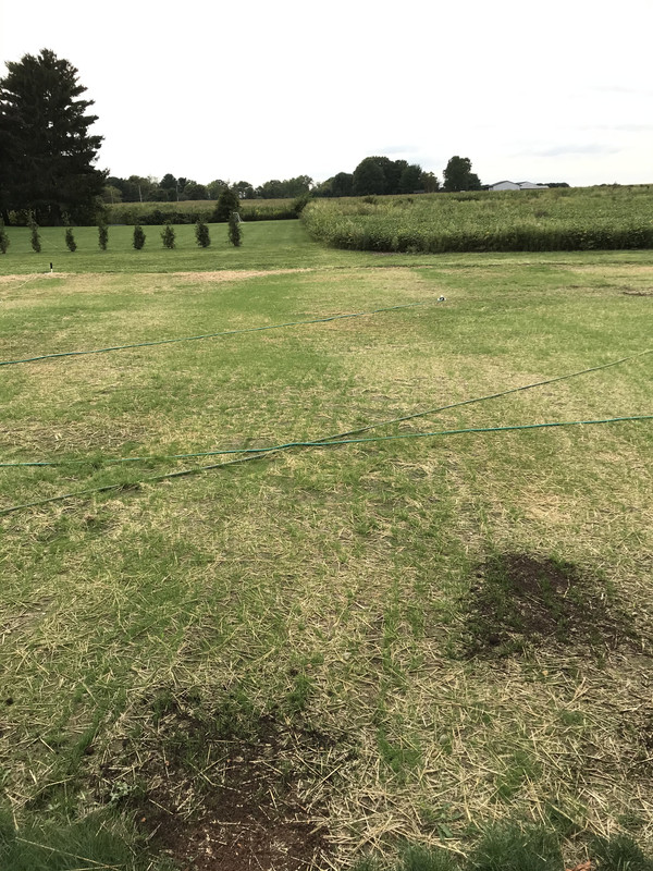 9FAFAD4C-B487-4B3C-BF7A-8373867C4045