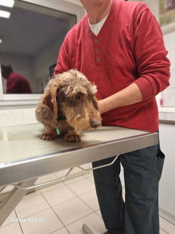 [Image: 20241106-175940.jpg]