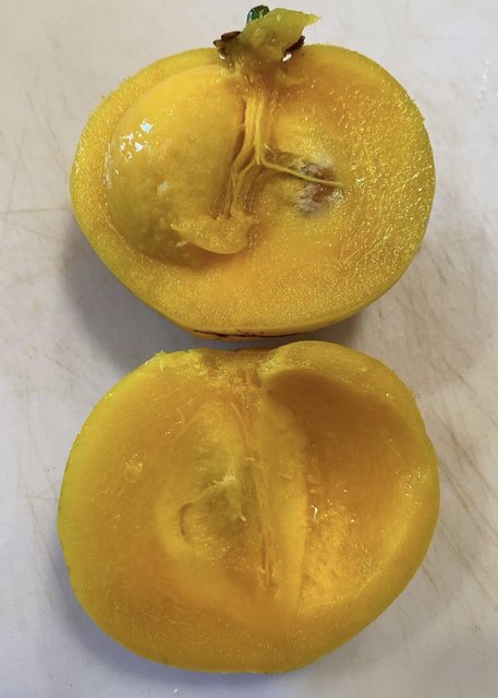 5CDB87AC-1D1B-40EC-9621-FE66B8BE44DD