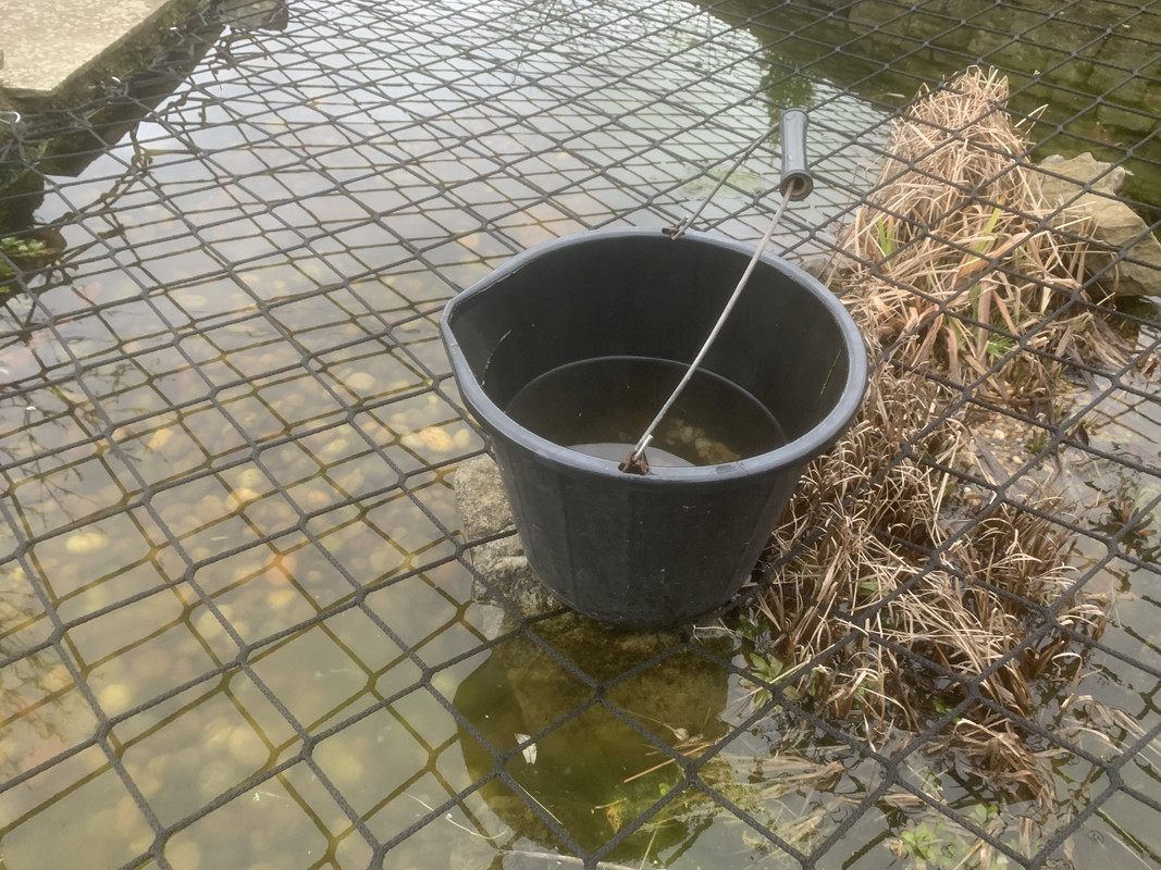 Pond netting for child safety any experiences and tips? Pond Design and Construction Forum