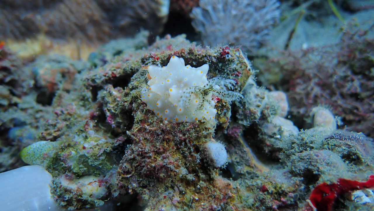 3588FACF-5053-40DD-B414-6781645396C4