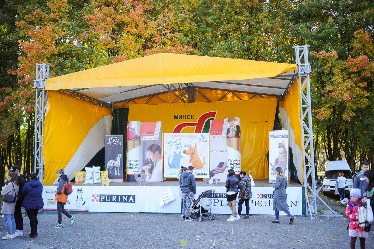 DSC_8799 — копия