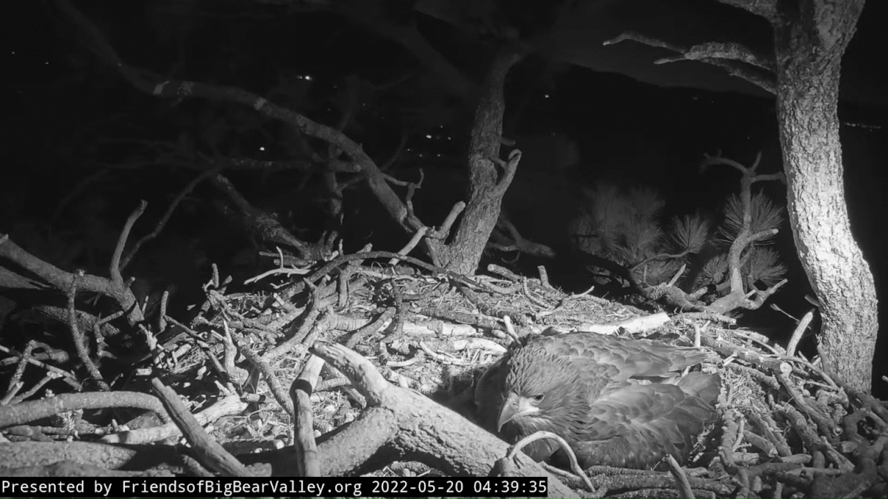 Webp.net-gifmaker (8)