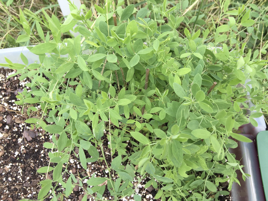 50A5CE3F-48A5-469C-B25C-1DC94E463F91