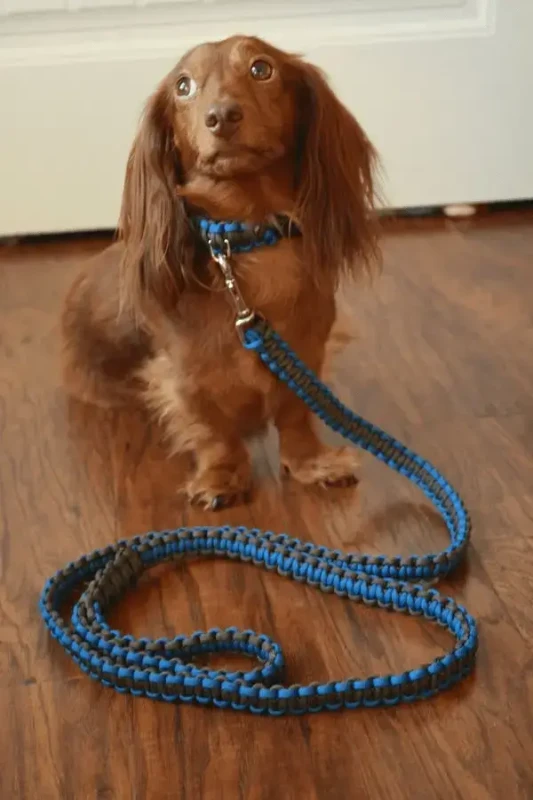 Foto de collar