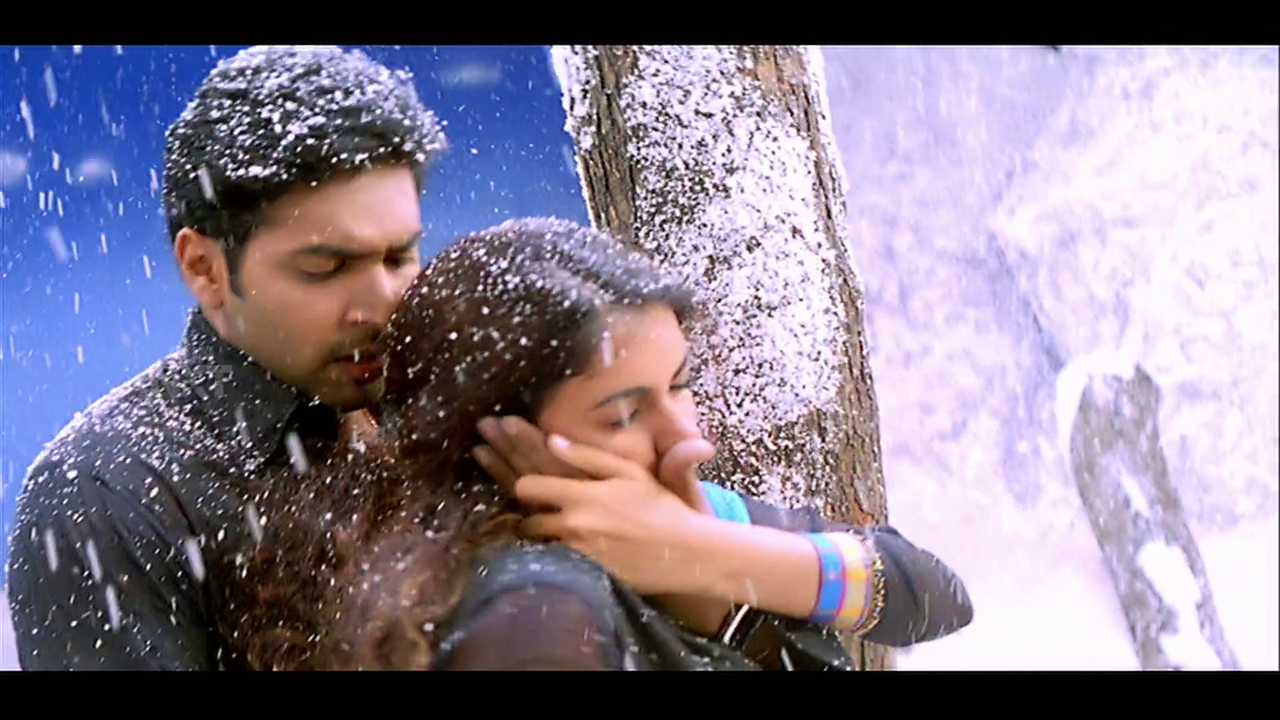 vlcsnap-2025-02-03-22h16m25s118