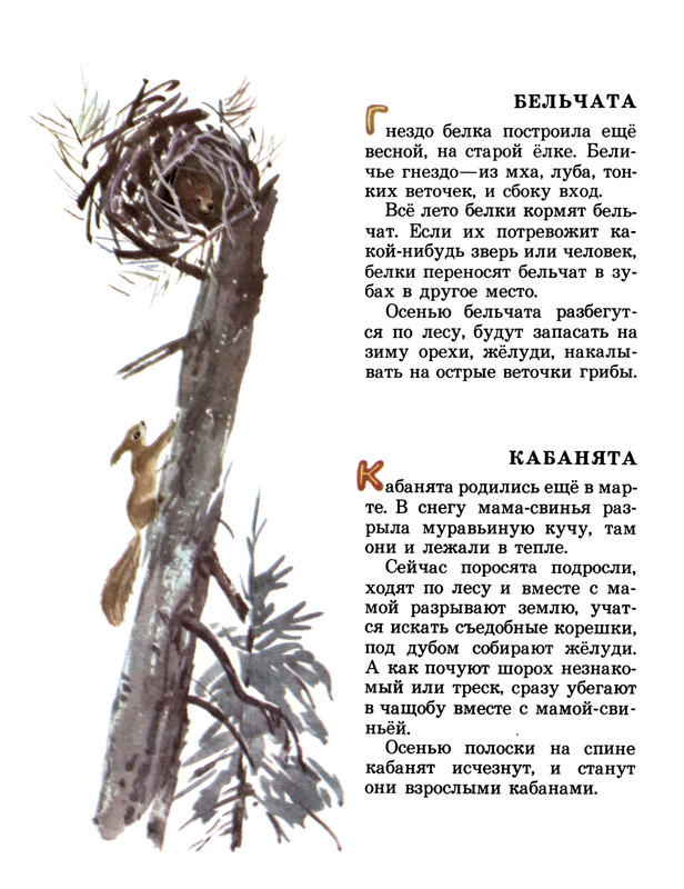 Snegirov-Gennadij-Tungus-i-Vernyj-500756-28