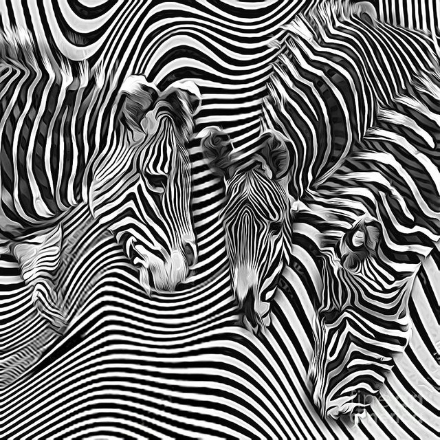 zebra-stripes-abstract-brian-tarr