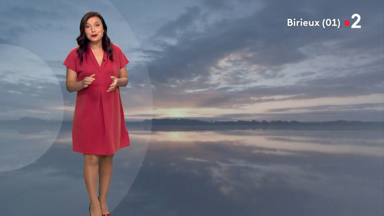 2021-07-29_19_50_Fr2_Meteo.mp4_snapshot_10.40.938