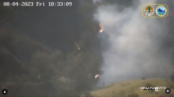 Kawasan hutan dan lahan di sekitar Gunung Rinjani mengalami kebakaran pada Jumat (4/8/2023) pagi, akibatnya dua jalur pendakian ditutup sementara.