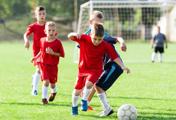 Seek Feedback from Coaches and Peers