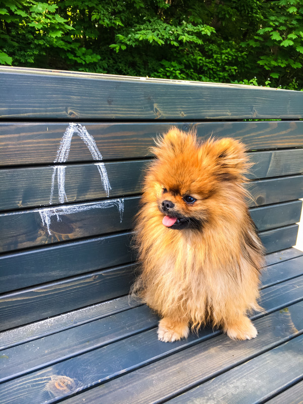 56747DB1-9591-4A72-8C75-0A718A4E9376