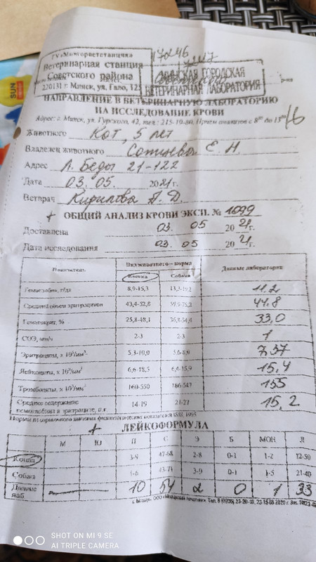 изображение_viber_2021-06-06_11-02-40