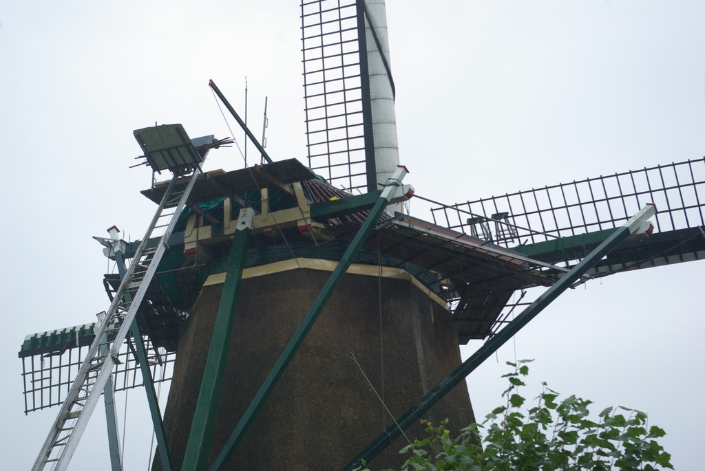 (01053) De Ruiter - Vreeland 5