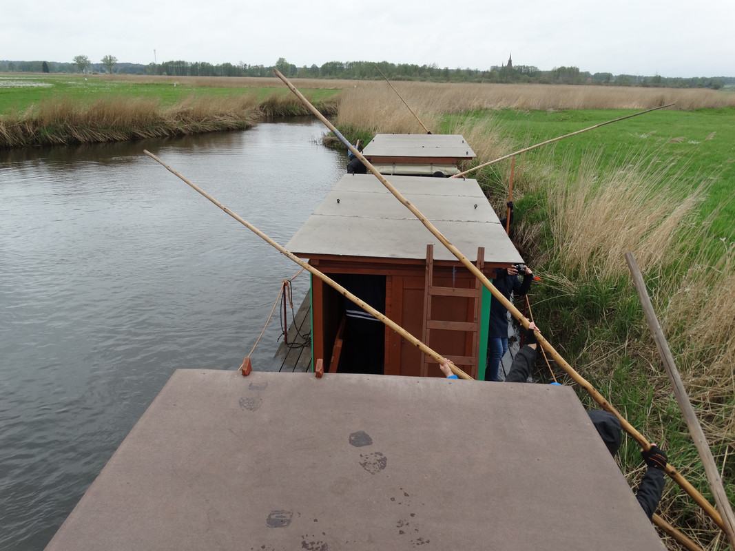 05.07 - DSC09313 (Czesio1)