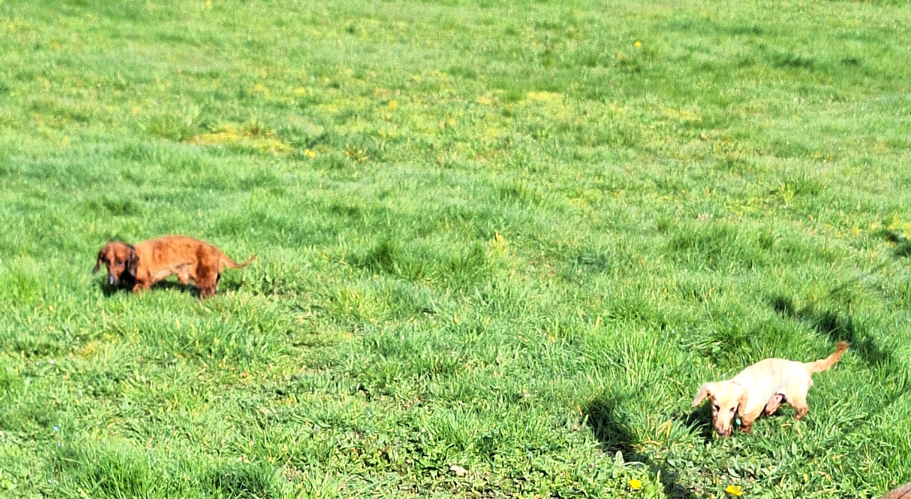 [Image: 20240314-105212.jpg]