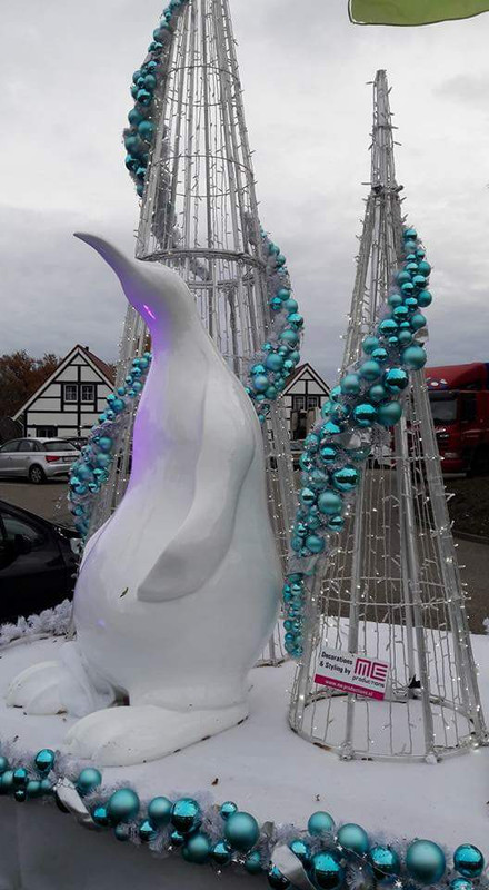 FB_IMG_1479834916849