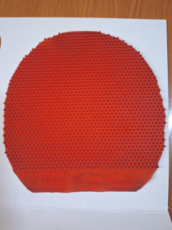 WhatsApp Image 2025-10-10 at 00.40.11 (2)